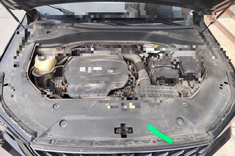 Used GAC Trumpchi GS8 2022 Flagship Series 2.0 TGDI Four-Wheel Drive Luxury Smart Connectivity Version (7 Seats) Engine Bay