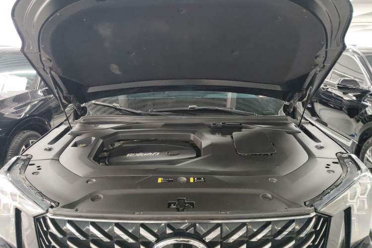 Used GAC Trumpchi GS8 2022 Flagship Series 2.0 TGDI Two-Wheel-Drive Prestige Edition (7 Seats) Engine Bay