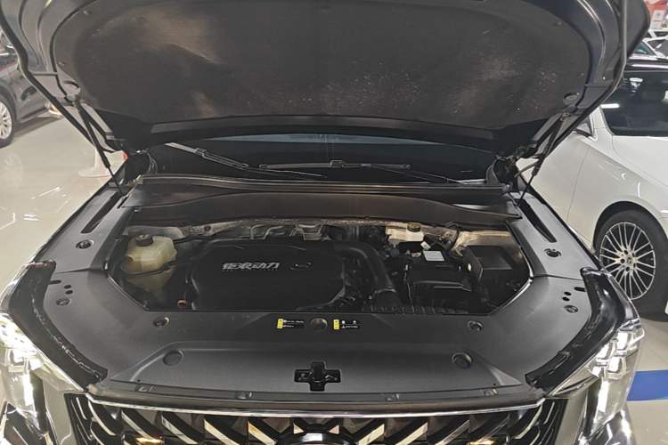 Used GAC Trumpchi GS8 2022 Linghang Series 2.0 TGDI Two-Wheel-Drive Luxury Smart Connectivity Version (7 Seats) Engine Bay