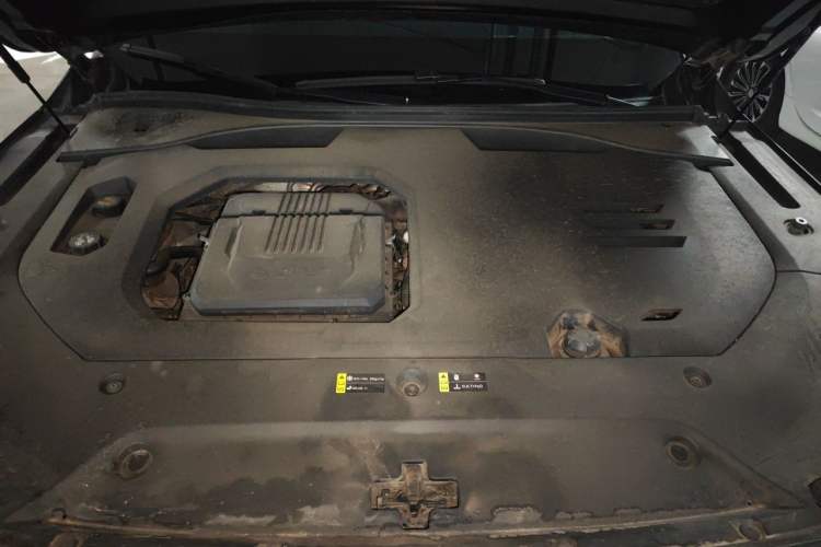 Used GAC Trumpchi GS8 2022 Dual-Engine Series 2.0TM Two-Wheel Drive Prestige Edition (7 Seats) Engine Bay