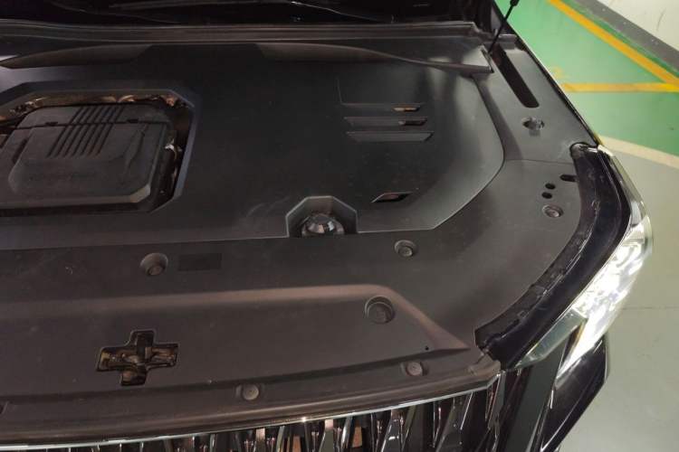 Used GAC Trumpchi GS8 2022 Double-Energy Series 2.0TM Four-Wheel Drive Premium Edition (7 Seats) Engine Bay Left
