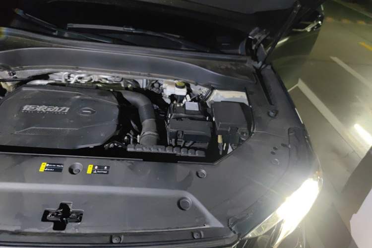Used GAC Trumpchi GS8 2022 Linghang Series 2.0 TGDI Two-Wheel-Drive Luxury Smart Connectivity Version (7 Seats) Engine Bay Left