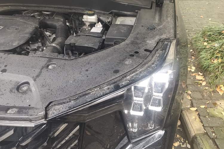 Used GAC Trumpchi GS8 2022 Linghang Series 2.0 TGDI Two-Wheel-Drive Luxury Smart Connectivity Version (7 Seats) Engine Bay Left