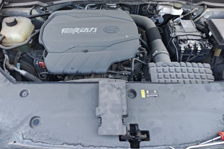 Used GAC Trumpchi GS8 2022 LINGHANG Series 2.0 TGDI Two-Wheel-Drive Luxury Edition (7 Seats) Engine Bay