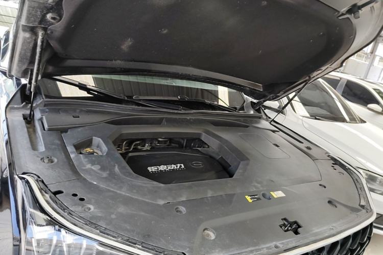 Used GAC Trumpchi GS8 2022 Flagship Series 2.0 TGDI Four-Wheel Drive Luxury Smart Connectivity Version (7 Seats) Engine Bay