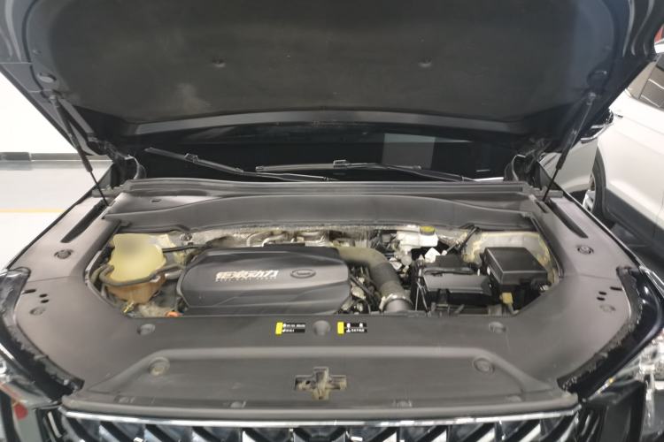 Used GAC Trumpchi GS8 2022 Linghang Series 2.0 TGDI Two-Wheel-Drive Luxury Smart Connectivity Version (7 Seats) Engine Bay