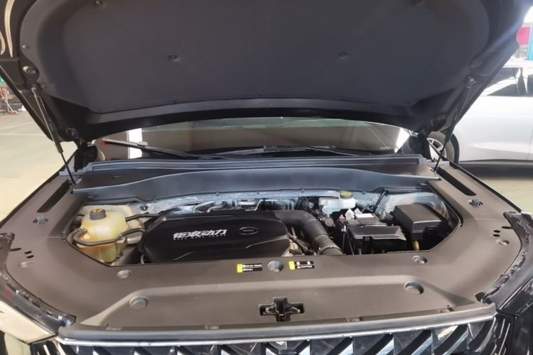 Used GAC Trumpchi GS8 2022 Linghang Series 2.0 TGDI Two-Wheel-Drive Luxury Smart Connectivity Version (7 Seats) Engine Bay