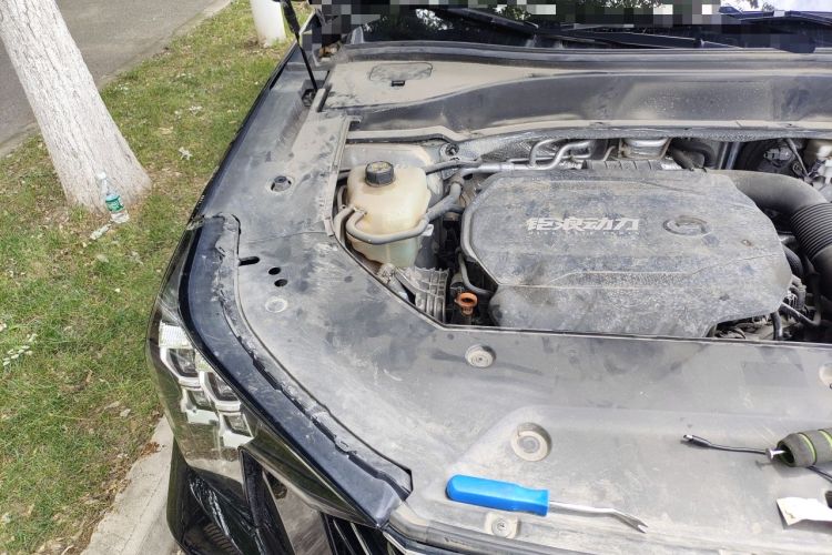 Used GAC Trumpchi GS8 2022 Linghang Series 2.0 TGDI Two-Wheel-Drive Luxury Smart Connectivity Version (7 Seats) Engine Bay Right