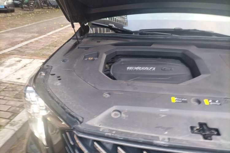Used GAC Trumpchi GS8 2022 LINGHANG Series 2.0 TGDI Two-Wheel-Drive Luxury Edition (7 Seats) Engine Bay Right