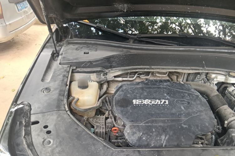 Used GAC Trumpchi GS8 2022 Flagship Series 2.0 TGDI Four-Wheel Drive Luxury Smart Connectivity Version (7 Seats) Engine Bay Right