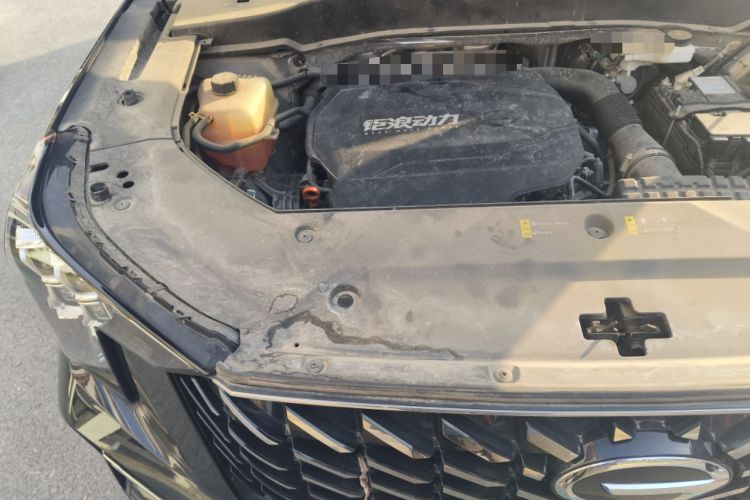 Used GAC Trumpchi GS8 2022 Linghang Series 2.0 TGDI Two-Wheel-Drive Luxury Smart Connectivity Version (7 Seats) Engine Bay Right