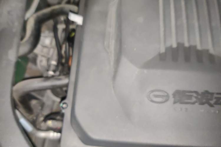 Used GAC Trumpchi GS8 2022 Dual-Engine Series 2.0TM Two-Wheel Drive Prestige Edition (7 Seats) Engine Bay Right