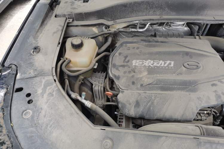Used GAC Trumpchi GS8 2022 Flagship Series 2.0 TGDI Four-Wheel Drive Luxury Smart Connectivity Version (7 Seats) Engine Bay Right