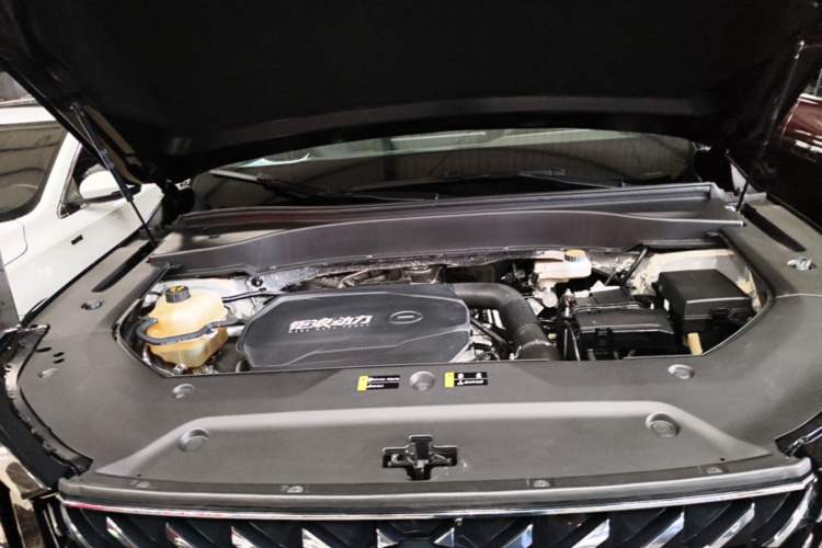 Used GAC Trumpchi GS8 2022 Linghang Series 2.0 TGDI Two-Wheel-Drive Luxury Smart Connectivity Version (7 Seats) Engine Bay