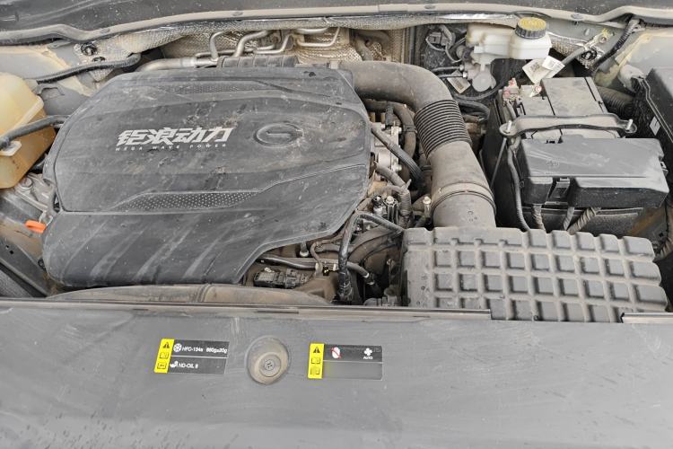 Used GAC Trumpchi GS8 2022 Linghang Series 2.0 TGDI Two-Wheel-Drive Luxury Smart Connectivity Version (7 Seats) Engine Bay
