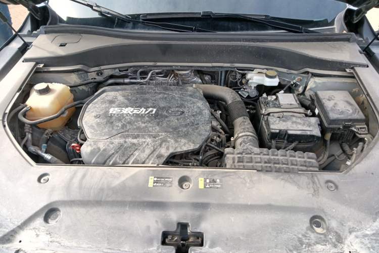 Used GAC Trumpchi GS8 2022 Linghang Series 2.0 TGDI Two-Wheel-Drive Luxury Smart Connectivity Version (7 Seats) Engine Bay