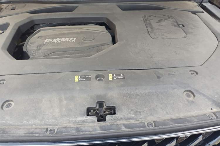 Used GAC Trumpchi GS8 2022 LINGHANG Series 2.0 TGDI Two-Wheel-Drive Luxury Edition (7 Seats) Engine Bay