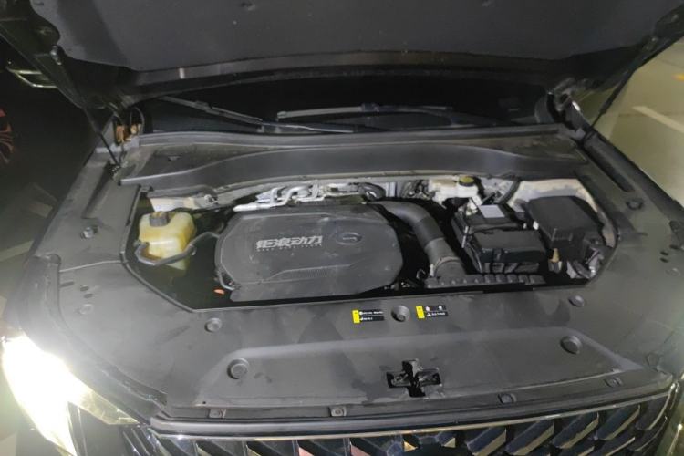 Used GAC Trumpchi GS8 2022 Linghang Series 2.0 TGDI Two-Wheel-Drive Luxury Smart Connectivity Version (7 Seats) Engine Bay