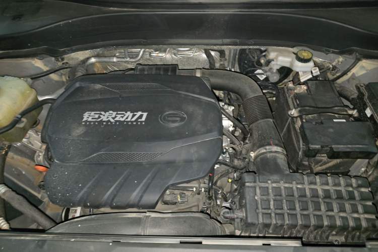 Used GAC Trumpchi GS8 2022 Linghang Series 2.0 TGDI Two-Wheel-Drive Luxury Smart Connectivity Version (7 Seats) Engine Bay