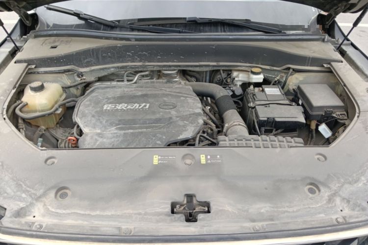 Used GAC Trumpchi GS8 2022 Linghang Series 2.0 TGDI Two-Wheel-Drive Luxury Smart Connectivity Version (7 Seats) Engine Bay