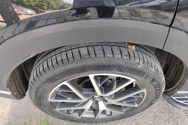 Used GAC Trumpchi GS8 2022 Linghang Series 2.0 TGDI Two-Wheel-Drive Luxury Smart Connectivity Version (7 Seats) Exterior 5