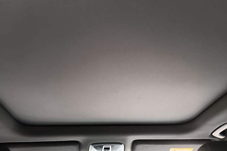 Used GAC Trumpchi GS8 2022 LINGHANG Series 2.0 TGDI Two-Wheel-Drive Luxury Edition (7 Seats) Headliner