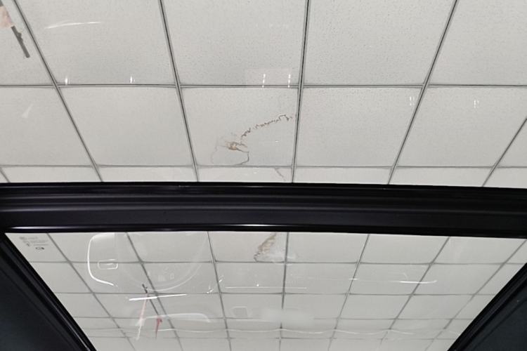 Used GAC Trumpchi GS8 2022 Flagship Series 2.0 TGDI Four-Wheel Drive Supreme Edition (7 Seats) Headliner