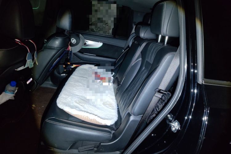 Used GAC Trumpchi GS8 2022 Dual-Engine Series 2.0TM Two-Wheel Drive Prestige Edition (7 Seats) Left Rear Seat