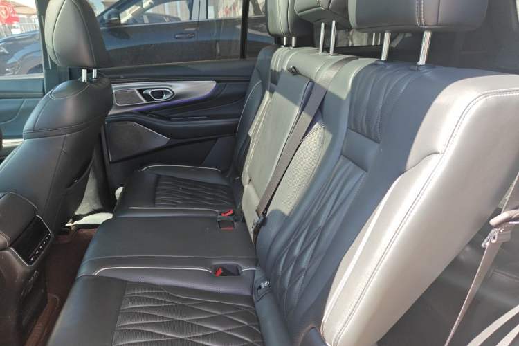 Used GAC Trumpchi GS8 2022 Flagship Series 2.0 TGDI Four-Wheel Drive Luxury Smart Connectivity Version (7 Seats) Left Rear Seat