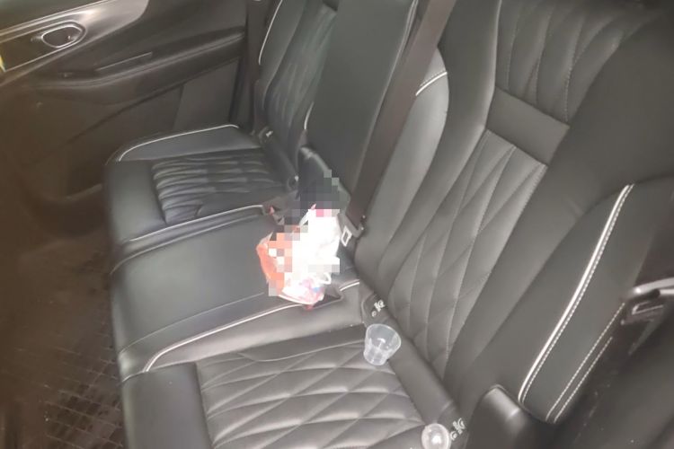 Used GAC Trumpchi GS8 2022 Linghang Series 2.0 TGDI Two-Wheel-Drive Luxury Smart Connectivity Version (7 Seats) Left Rear Seat