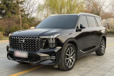 Used GAC Trumpchi GS8 2022 Linghang Series 2.0 TGDI Two-Wheel-Drive Luxury Smart Connectivity Version (7 Seats)