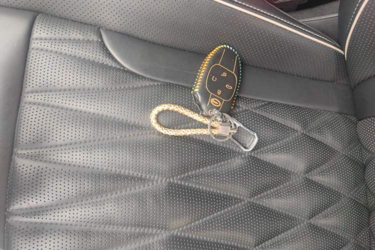 Used GAC Trumpchi GS8 2022 Flagship Series 2.0 TGDI Four-Wheel Drive Luxury Smart Connectivity Version (7 Seats) Vehicle Key
