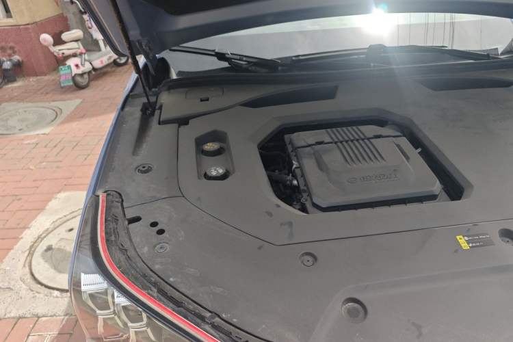 Used GAC Trumpchi GS8 2022 Dual-Engine Series 2.0TM Two-Wheel Drive Prestige Edition (7 Seats) Engine Bay Right