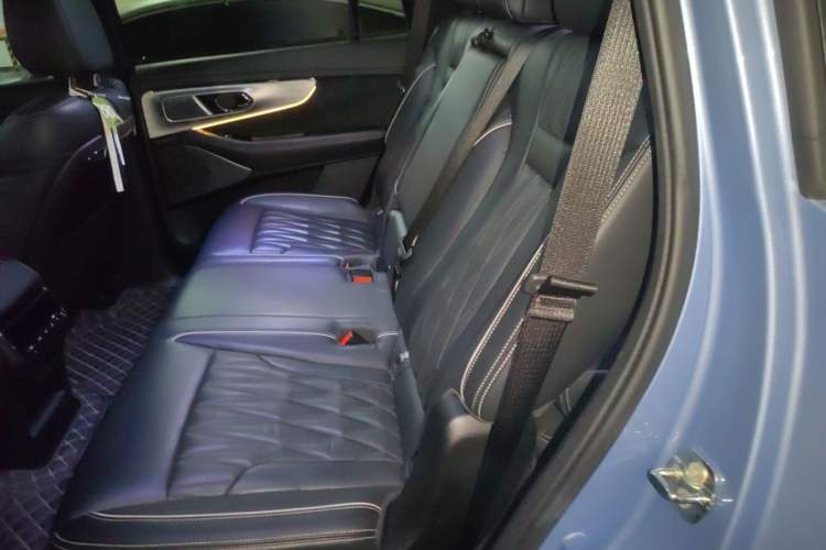 Used GAC Trumpchi GS8 2022 Double-Energy Series 2.0TM Four-Wheel Drive Premium Edition (7 Seats) Left Rear Seat