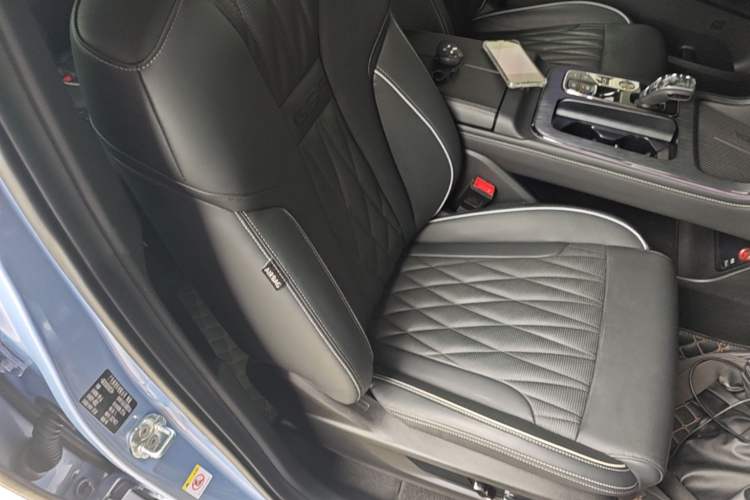 Used GAC Trumpchi GS8 2022 Dual-Engine Series 2.0TM Two-Wheel Drive Prestige Edition (7 Seats) Right Front Seat