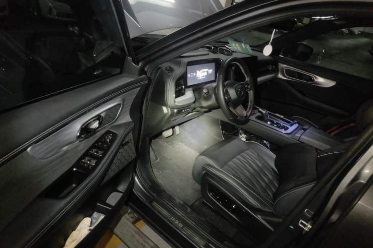 Used GAC Trumpchi GS8 2022 Dual-Engine Series 2.0TM Two-Wheel Drive Prestige Edition (7 Seats) Driver Seat