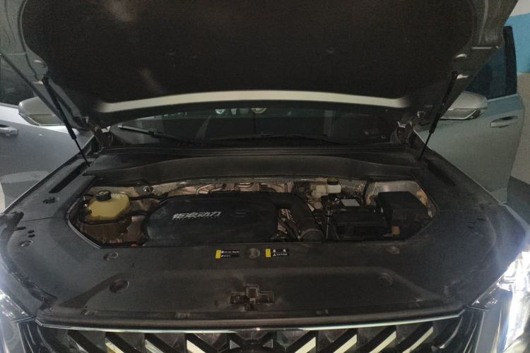 Used GAC Trumpchi GS8 2022 Linghang Series 2.0 TGDI Two-Wheel-Drive Luxury Smart Connectivity Version (7 Seats) Engine Bay