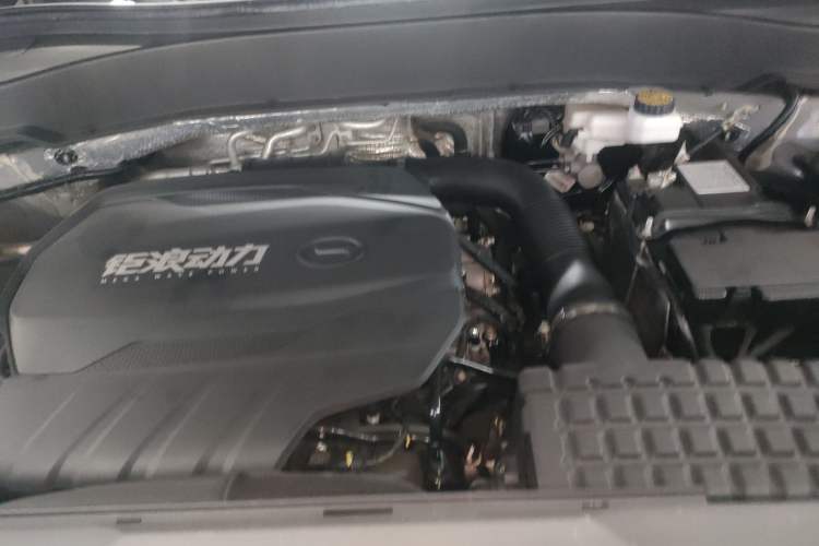 Used GAC Trumpchi GS8 2022 Linghang Series 2.0 TGDI Two-Wheel Drive Luxury Smart Connectivity Version (6 Seats) Engine Bay