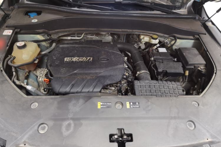 Used GAC Trumpchi GS8 2022 Linghang Series 2.0 TGDI Two-Wheel-Drive Luxury Smart Connectivity Version (7 Seats) Engine Bay