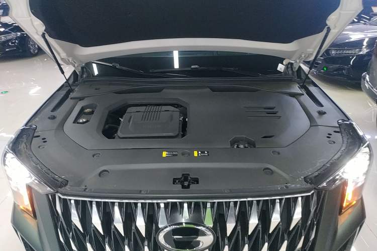 Used GAC Trumpchi GS8 2022 Dual-Engine Series 2.0TM Two-Wheel Drive Prestige Edition (7 Seats) Engine Bay
