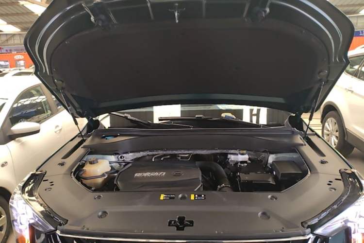 Used GAC Trumpchi GS8 2022 Linghang Series 2.0 TGDI Two-Wheel-Drive Luxury Smart Connectivity Version (7 Seats) Engine Bay