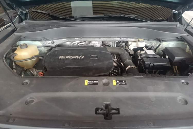 Used GAC Trumpchi GS8 2022 Linghang Series 2.0 TGDI Two-Wheel-Drive Luxury Smart Connectivity Version (7 Seats) Engine Bay