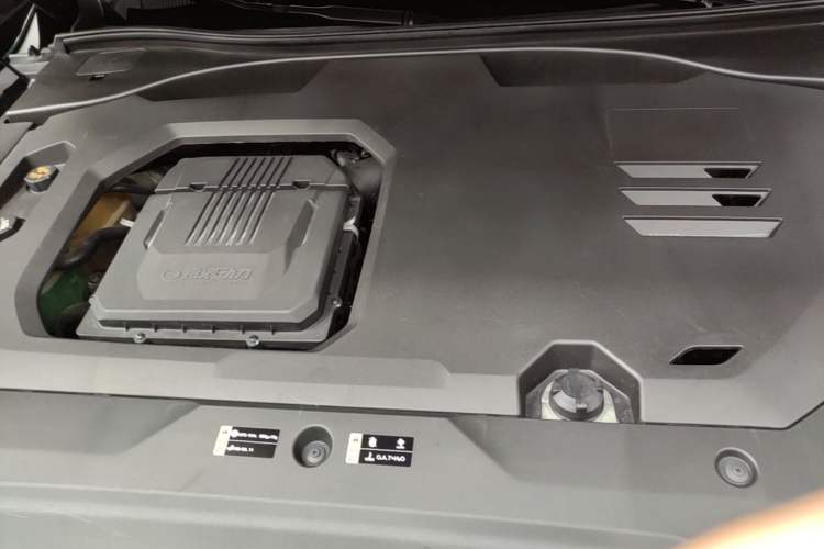 Used GAC Trumpchi GS8 2022 Dual-Engine Series 2.0TM Two-Wheel Drive Prestige Edition (7 Seats) Engine Bay