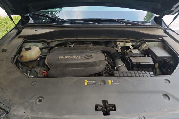 Used GAC Trumpchi GS8 2022 Linghang Series 2.0 TGDI Two-Wheel-Drive Luxury Smart Connectivity Version (7 Seats) Engine Bay