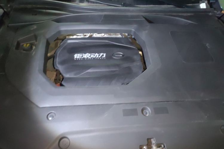 Used GAC Trumpchi GS8 2022 Flagship Series 2.0 TGDI Two-Wheel-Drive Prestige Edition (6-seater) Engine Bay