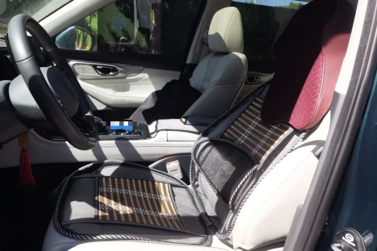 Used GAC Trumpchi GS8 2022 Dual-Engine Series 2.0TM Two-Wheel Drive Prestige Edition (7 Seats) Left Front Seat