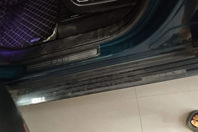 Used GAC Trumpchi GS8 2022 Flagship Series 2.0 TGDI Two-Wheel-Drive Prestige Edition (7 Seats) Left Side Sill