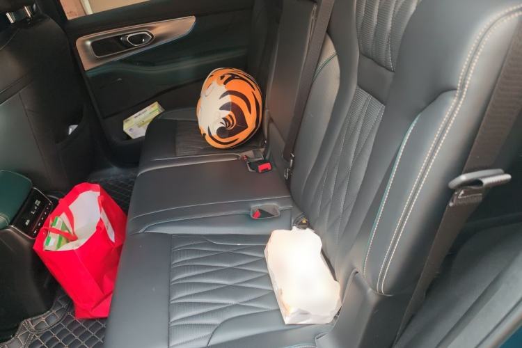 Used GAC Trumpchi GS8 2022 Linghang Series 2.0 TGDI Two-Wheel-Drive Luxury Smart Connectivity Version (7 Seats) Left Rear Seat