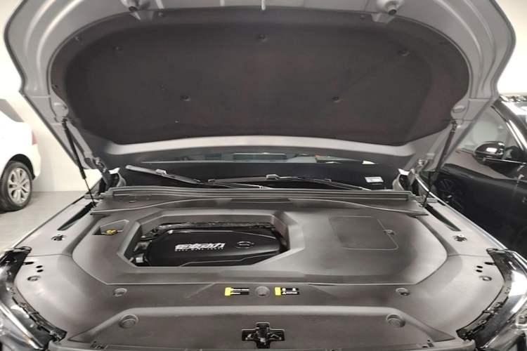 Used GAC Trumpchi GS8 2022 Flagship Series 2.0 TGDI Two-Wheel-Drive Prestige Edition (7 Seats) Engine Bay