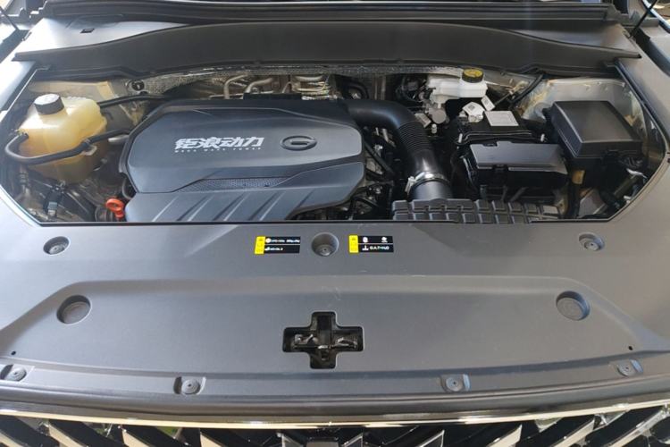 Used GAC Trumpchi GS8 2022 Linghang Series 2.0 TGDI Two-Wheel-Drive Luxury Smart Connectivity Version (7 Seats) Engine Bay